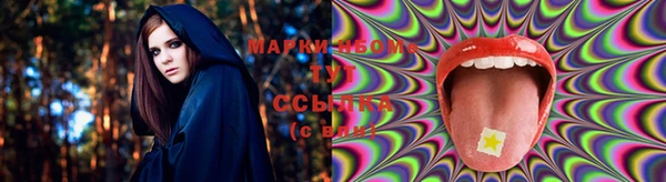 гашик Белоозёрский