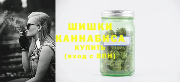 гашик Белоозёрский