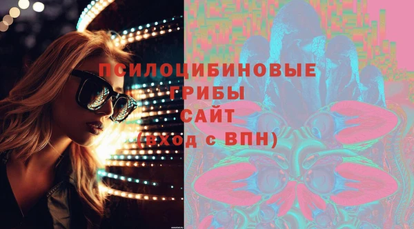 гашик Белоозёрский