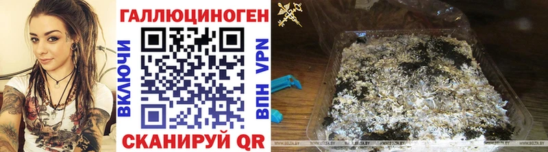 Псилоцибиновые грибы MAGIC MUSHROOMS Железноводск