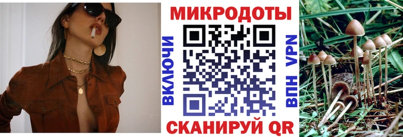 хочу   Железноводск  Галлюциногенные грибы Magic Shrooms 